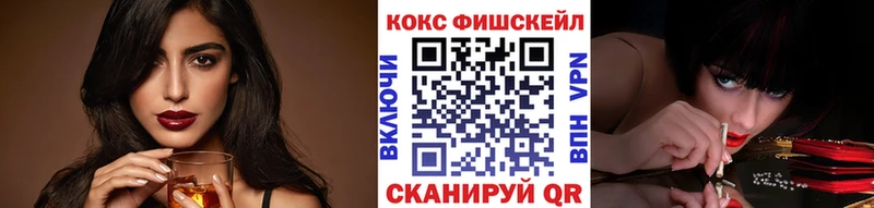 закладка  mega   COCAIN FishScale  Александров 