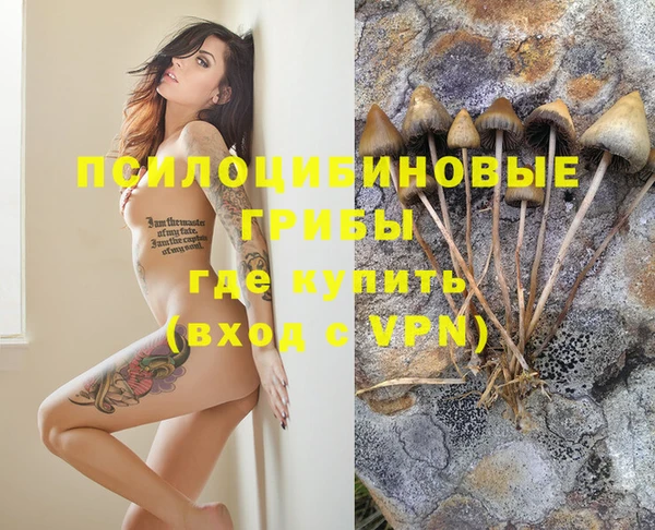 МДПВ Ладушкин