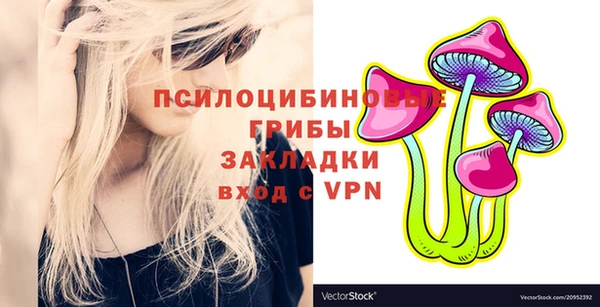 индика Абдулино