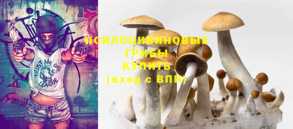индика Абдулино