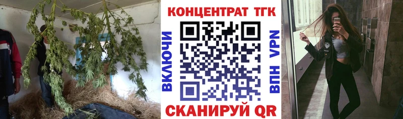 MEGA рабочий сайт Александров Дистиллят ТГК жижа закладки