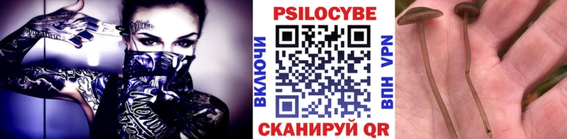 как найти MEGA ссылка Галлюциногенные грибы мицелий Александров